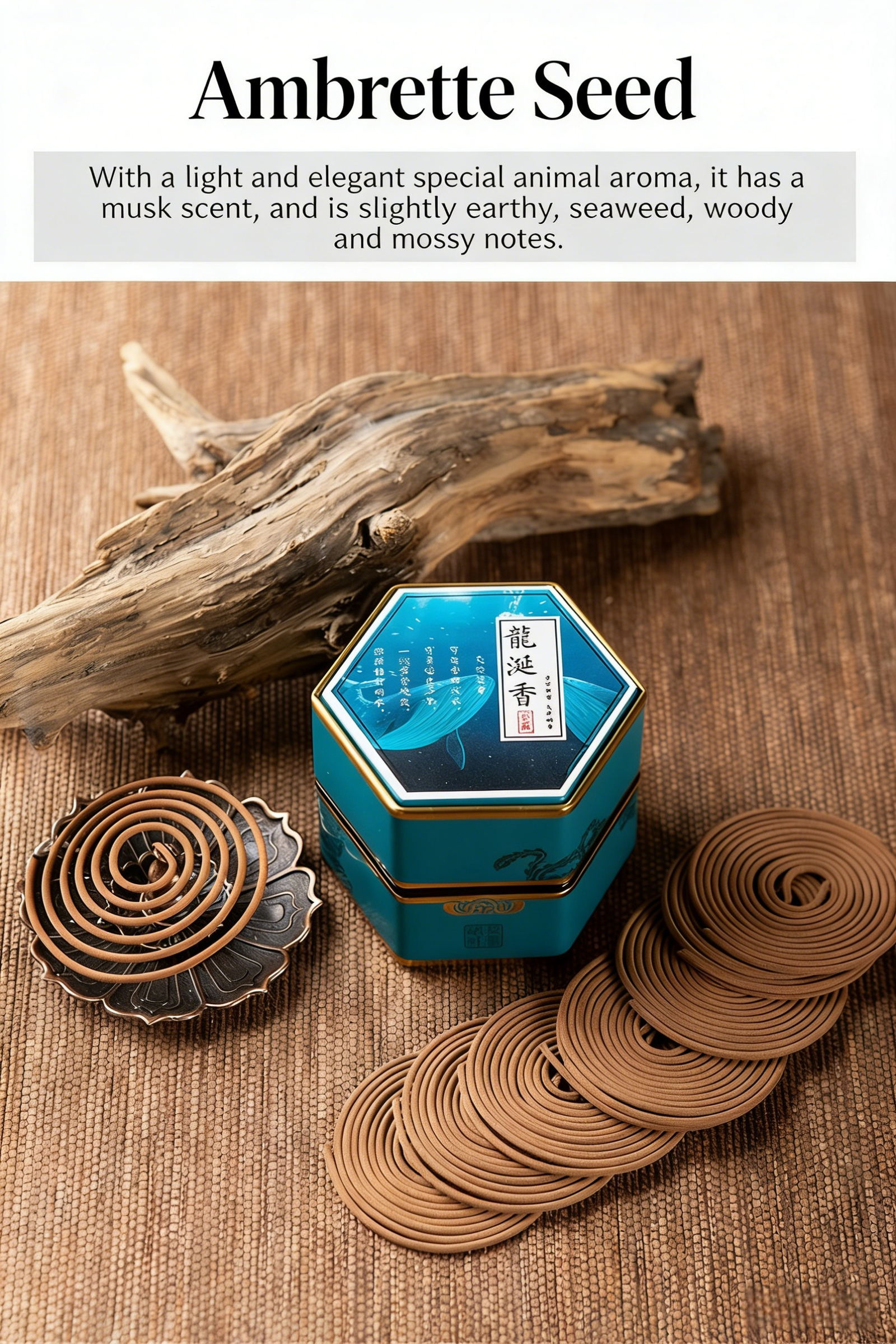 翻译并生成纯英文图片 (22)